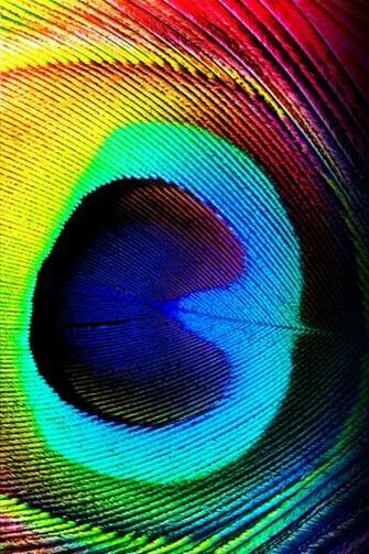 By Phat Trance In iPhone Wallpaper Show As Slideshow