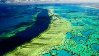 Great Barrier Reef Wallpaper