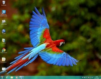 Laws Concerning The Use Of This Software Vary From Country To