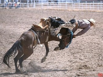 Rodeo Wallpaper During A Wyoming