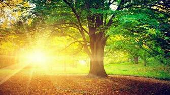 Im Beautiful Sunny Day Wallpaper Picserio