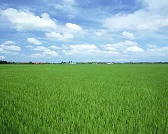 Loose Lands Wallpaper Stock Photos