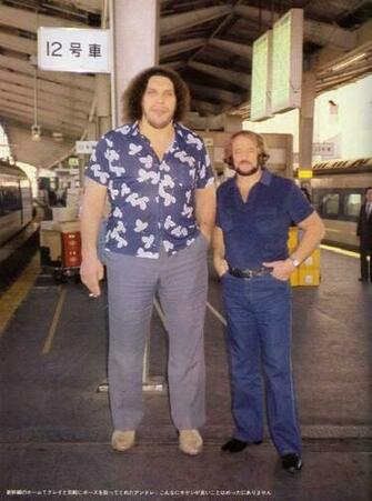 Wwe Wallpaper Andre The Giant