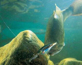 Bass Fishing Timeline Cover Background Pimp My Profile