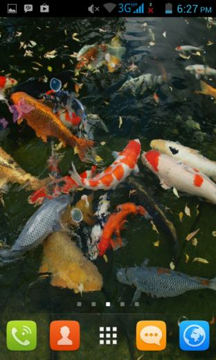 Koi Fish Live Wallpaper Screenshot
