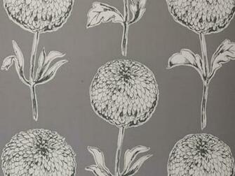 Dahlia Slate Grey Wallpaper Is Elegant Stylish That Sure
