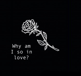 Pfp S Wallpaper And Things