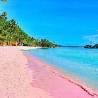 Pink Beach Aesthetic Wallpaper