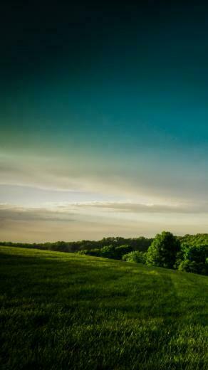 Hill Country Forest iPhone Plus HD Wallpaper Ipod