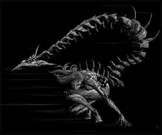 Zodiac Scorpio By Mag Nit