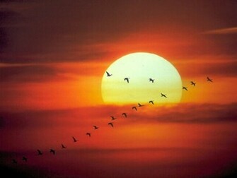 Desktop Wallpaper Background Amazing 3d