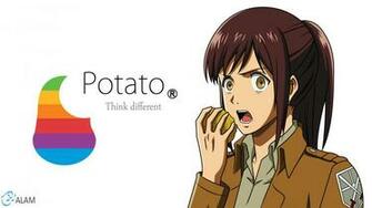 Shingeki No Kyojin Wallpaper Potato Girl Sasha By Djalam On