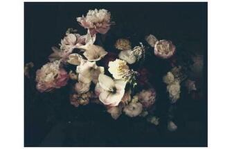 Dutch Love By Ashley Woodson Bailey From Citizen Atelier Handout