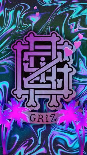Okeechobeeings Did You Lose A Griz Pin