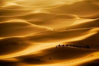 Sahara Desert Wallpaper