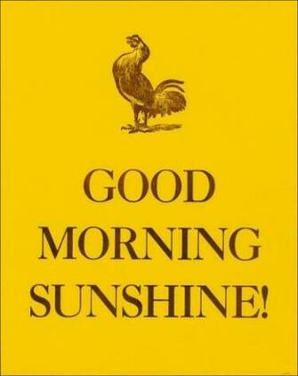 Tags Good Morning Pictures Image Wallpaper