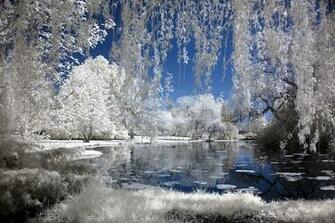 Beautiful Winter Wonderland Wallpaper For X Mobile Pictures