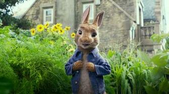 Jessowey Jessica Owens Image Peter Rabbit HD Wallpaper And