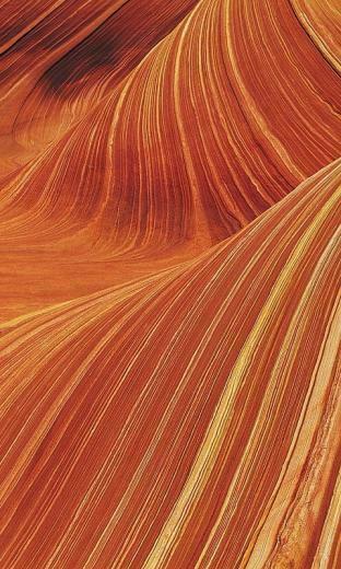 Windows Phone Wallpaper HD