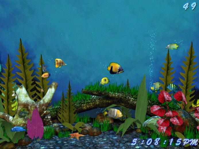 Fish Aquarium Screensaver Windows HD Walls Find Wallpaper