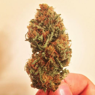 Weed Nug Png Image In Collection