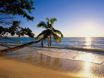 HD Beach Scenery Wallpaper Tropical Island Nature