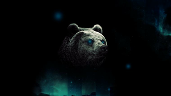 Cool Bear Wallpaper By Tooyp Th08 Deviantart Net