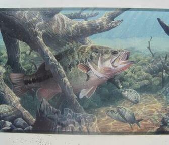 Bass Fishing Fresh Water Wallpaper Border 9 Jpg