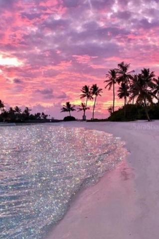 Enjoy The Palm Life Usapalm Beach Wallpaper Beautiful