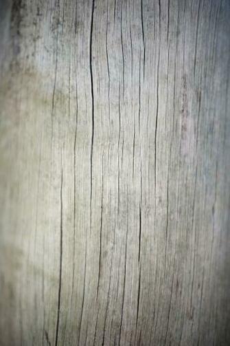 Image Collections Wood Dried Cracked