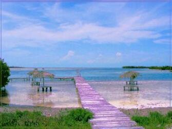 Monet Style Walk This Way By Puddlz