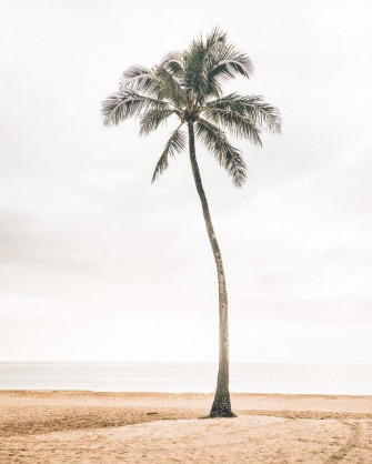 Boho Beach Colors Simplystyledart BeacHDecor Coastalfarmhouse