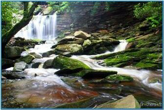 Live Screensavers Widescreen HD Wallpaper