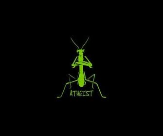 Nice Mantis Humor Funny Wallpaper