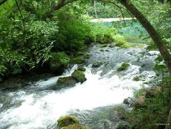 Woods Waters Wallpaper Of The Scenic Ozark Mountains