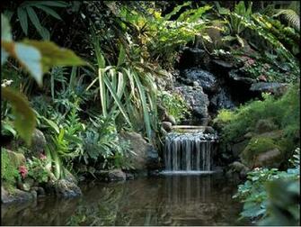 Living Waterfalls Screensaver Ware En Chip Eu