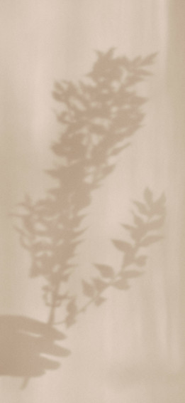 Light Brown Aesthetic Wallpaper