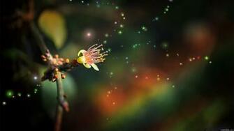 Beautiful Flower Fantasy Full HD Wallpaper Is A Great For