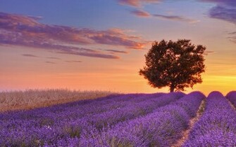 Provence Wallpaper Knowledge HD Hi Res