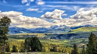 Yellowstone