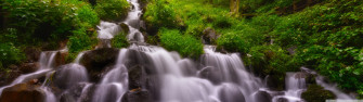 Forest Waterfall Summer Ultra HD Desktop Background Wallpaper For