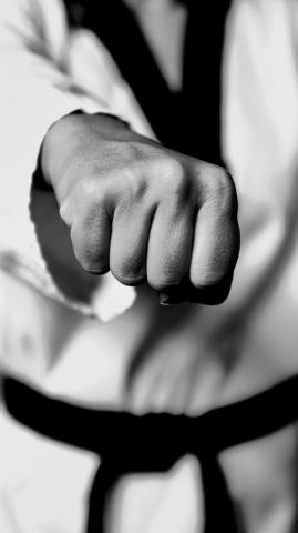 Wallpaper Taekwondo Fight Fighter Fist Bw