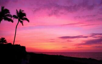 Kona Coast Big Island Hawaii Nature Tours In