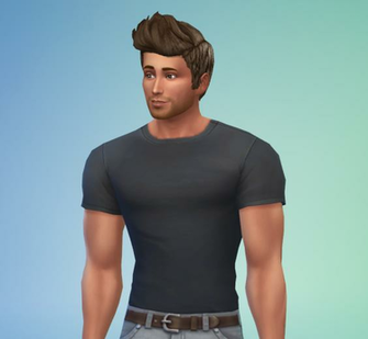 Click Here For Rmation On Install Custom Content