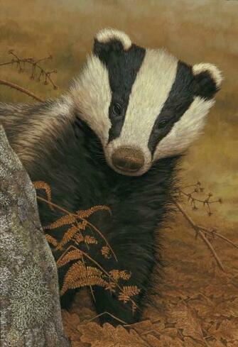 Image Of Robert E Fuller BirtHDay Badger Wallpaper Bucky
