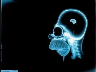 Pinky And The Brain Wallpaper X Net