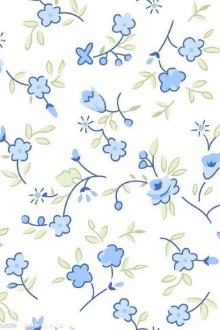 Small Fresh Patterns iPhone 4s Wallpaper