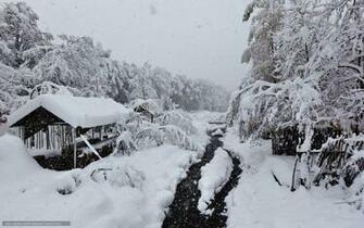 Winter Wallpaper River Lodge Forest Original Zima