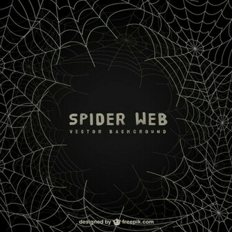 Spider Web Background On Blackboard Vector