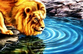 3d Lion Image Photos Of Wallpaper For Desktop Here We Have